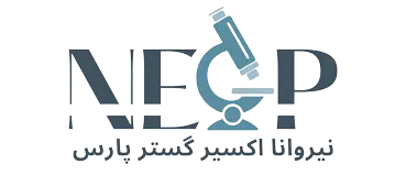 نیروانا شیمی